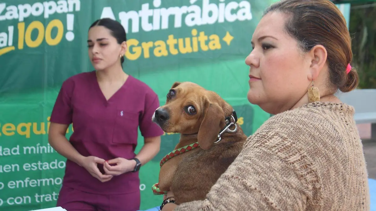 Programa Zapopan al 100-1